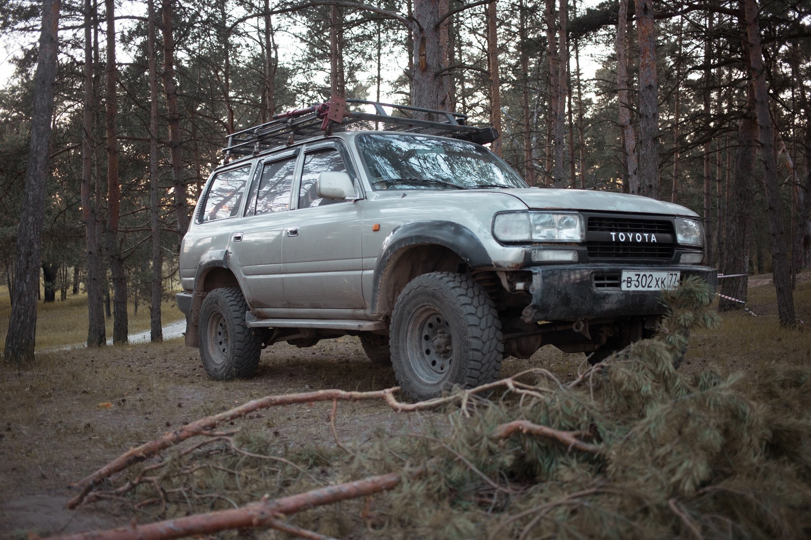 Slow departure near Stupino - My, Tourism, Travels, Nature, The photo, Подмосковье, Road trip, Toyota, Land cruiser, Longpost, Toyota Land Cruiser