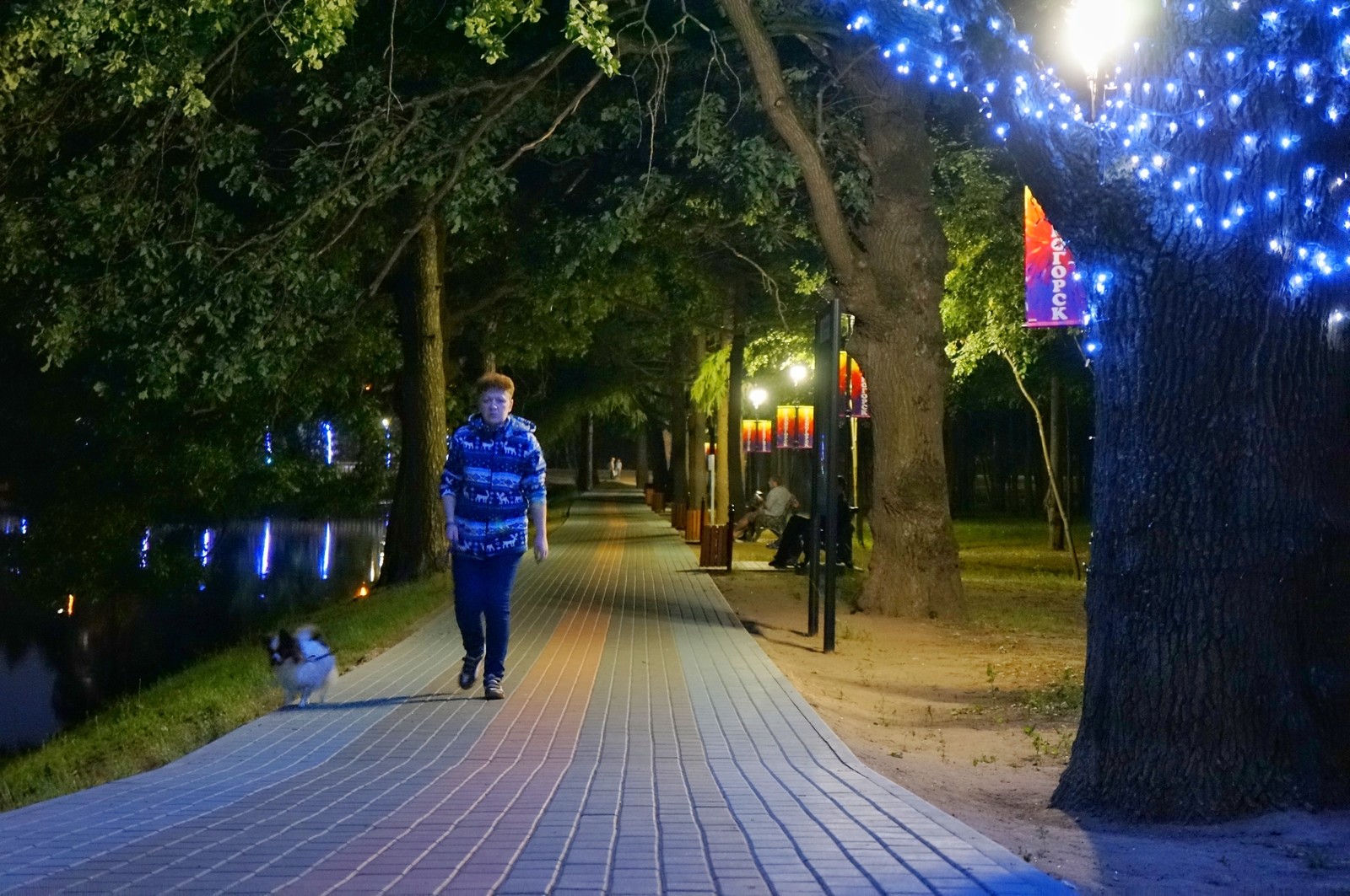 Night in Krasnogorsk - My, Night shooting, Pond, The photo, Krasnogorsk, Ivanovo Lakes, Longpost