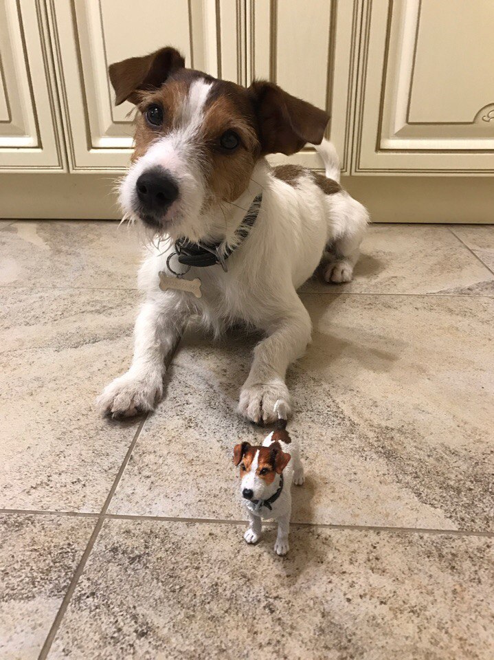 Figurine Jack Russell Terrier made of polymer clay - My, Polymer clay, Dog, Plastic, Needlework with process, Longpost