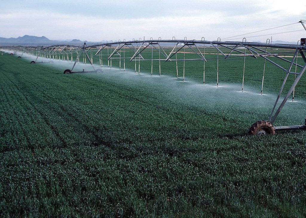 Irrigation and what it is eaten with - Irrigation, , , , Longpost