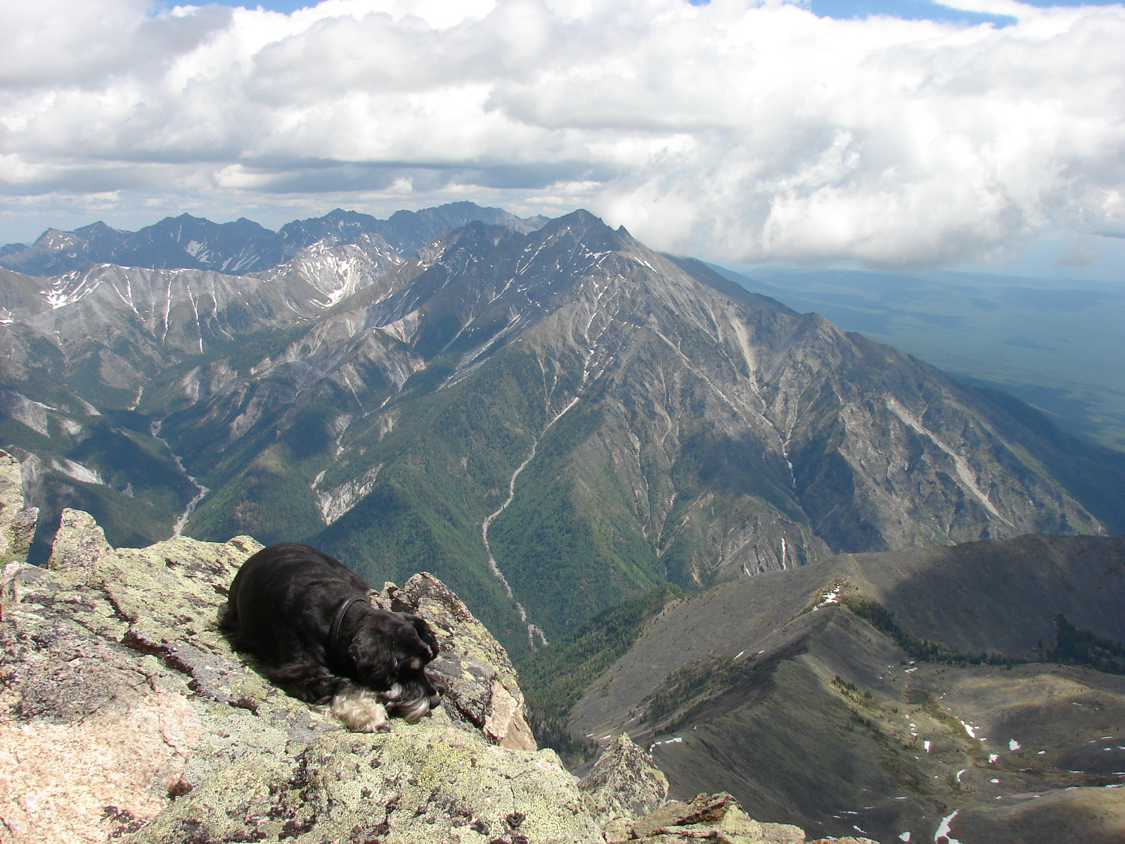 Walking dog. - My, Hike, The mountains, Dog, Friend, PHOTOSESSION, Longpost