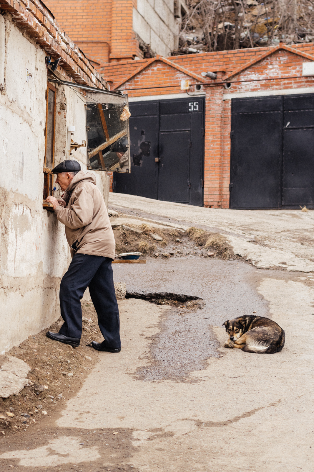 Mitten #5 - My, Animals, cat, Dog, Krasnoyarsk, Novoaltaysk, Barnaul, Longpost, The photo