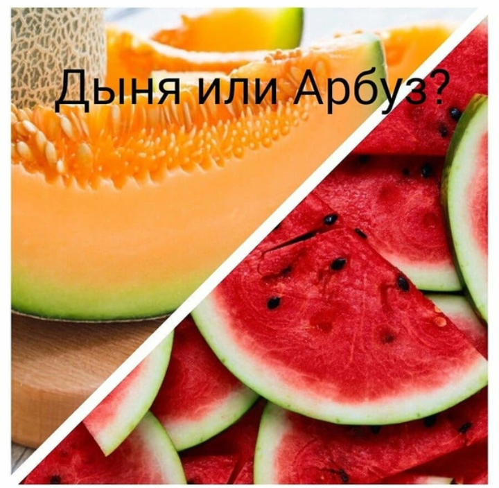 Battle of the Season - Watermelon, Summer, The photo, In contact with