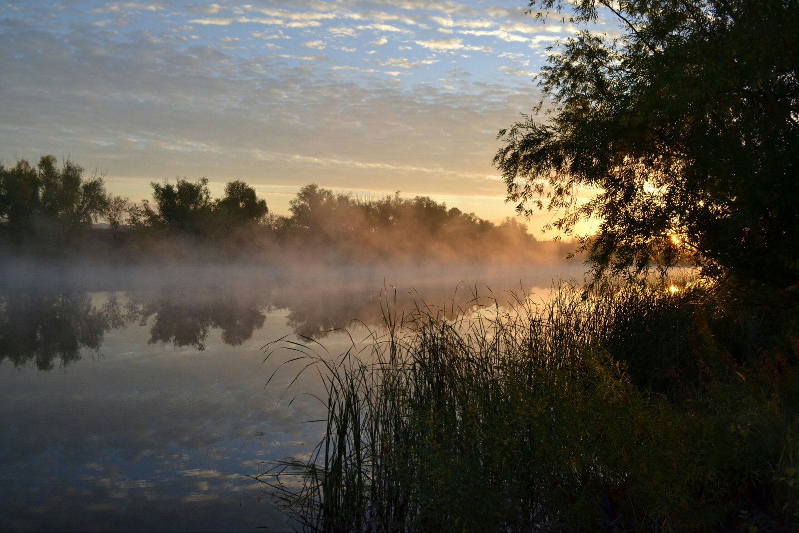 Dawn on the river Or. Nikon D3100 18-55 - My, The photo, dawn, River, Longpost