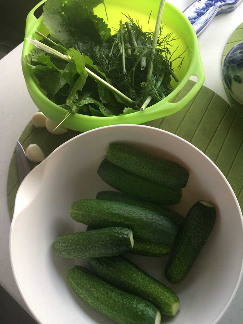 Cucumbers are everything. - My, Garden, Cooking, Salting, Longpost