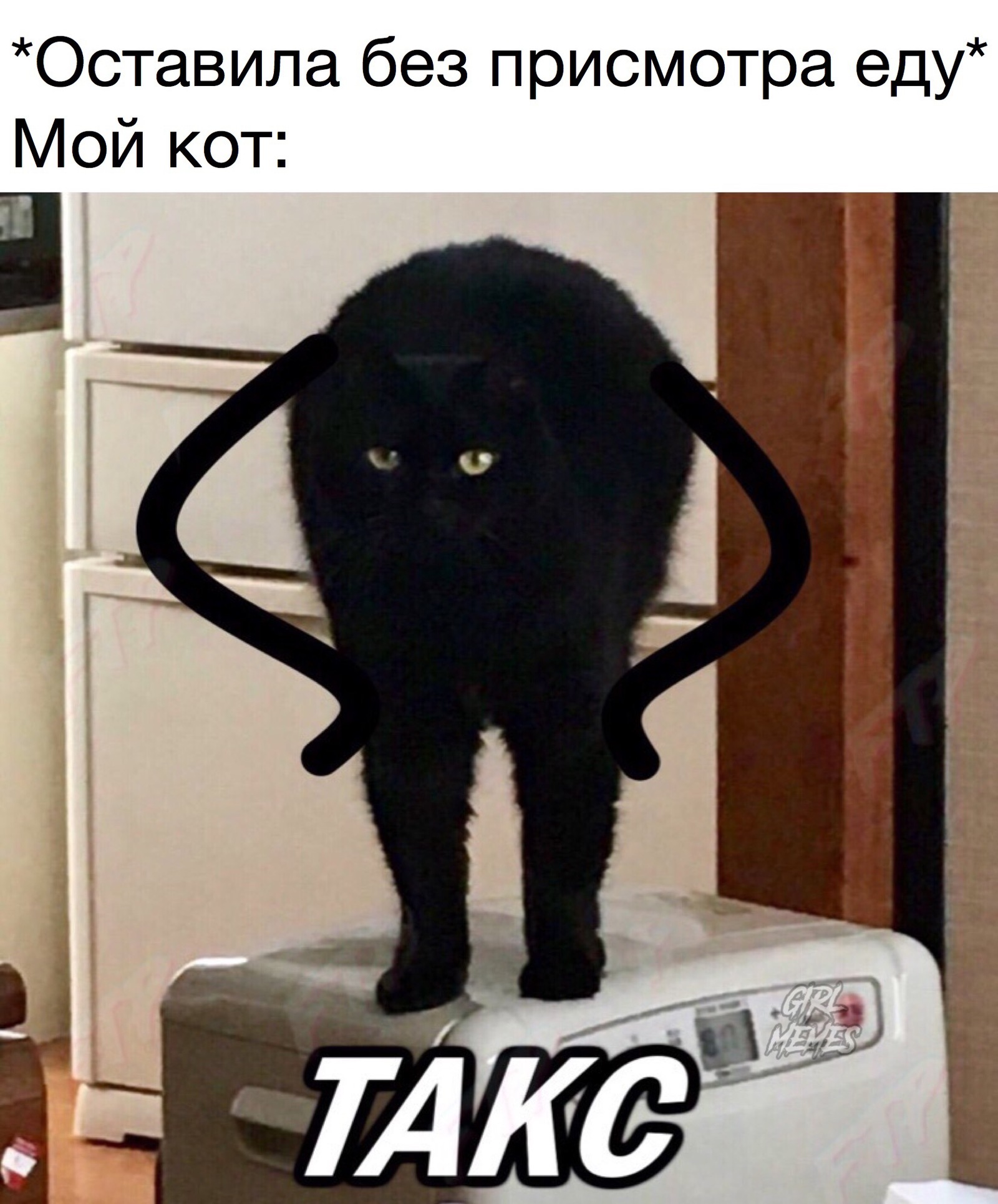 Black cat meme