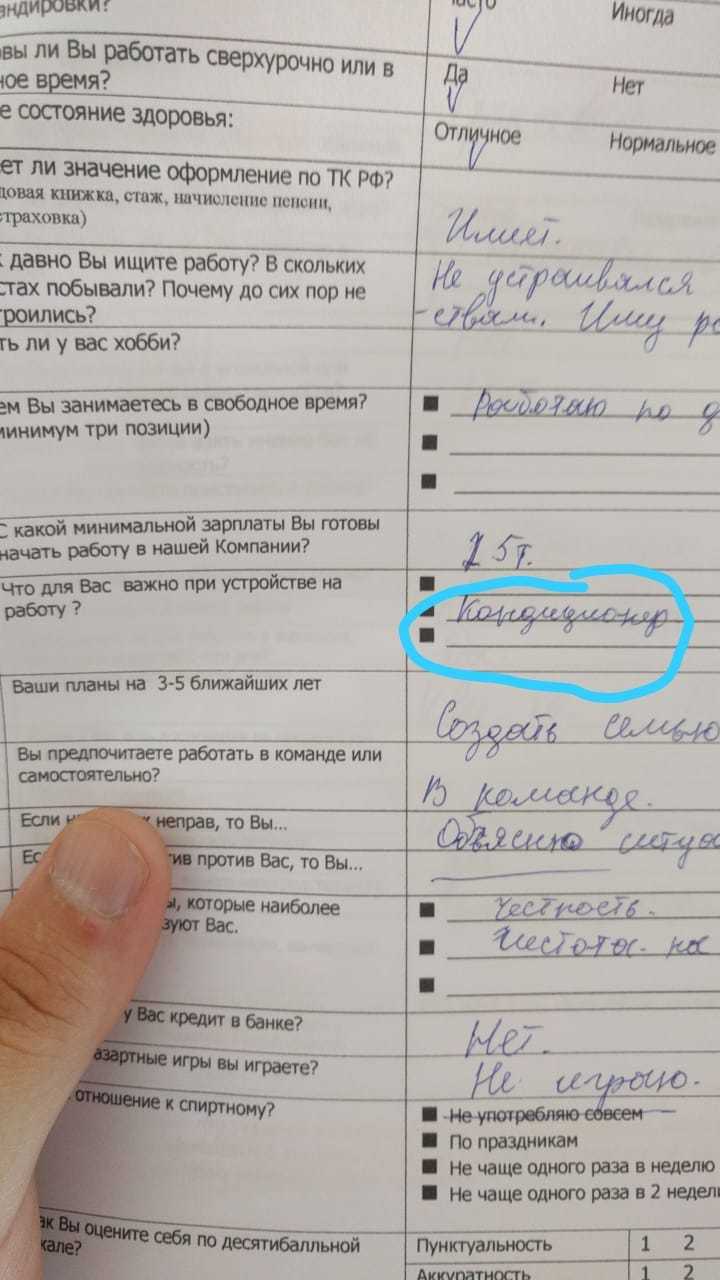 Важно выставить приоритеты правильно, когда на улице печёт | Пикабу