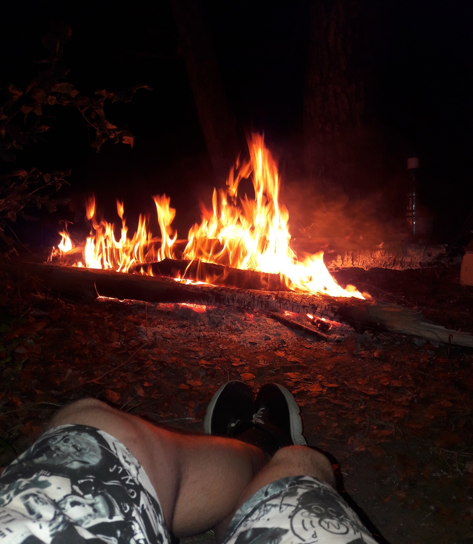 Rest more often - My, Nature, Fire, Bonfire