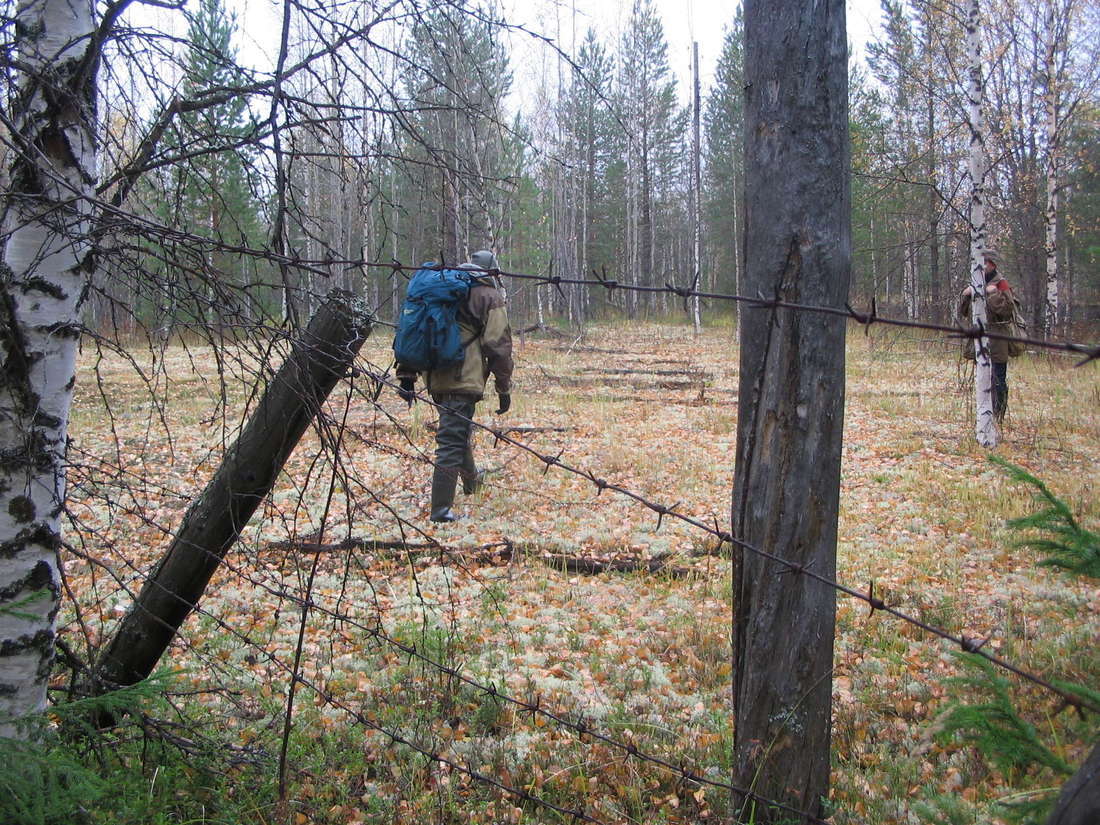 Project Taiga: how in the Soviet Union they wanted to turn back the rivers with nuclear explosions - Story, Informative, Facts, Taiga, the USSR, Nuclear explosion, Peaceful atom, Radiation, 70th, Russia, Longpost, Video