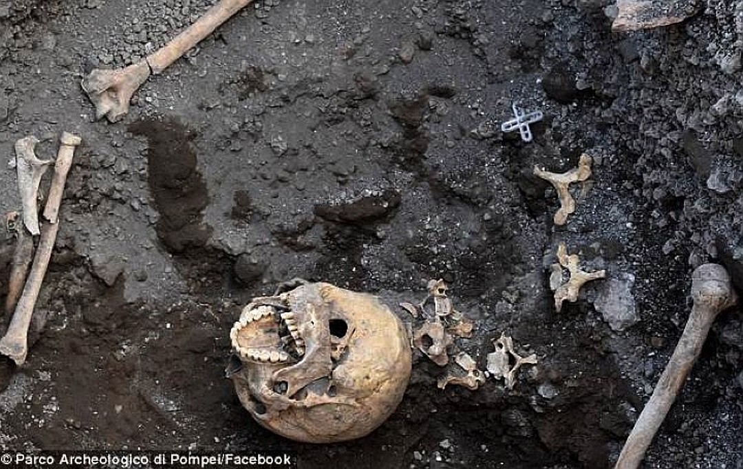 Head of the 'Headless Man from Pompeii' found - Pompeii, Skeleton, Death, Archeology