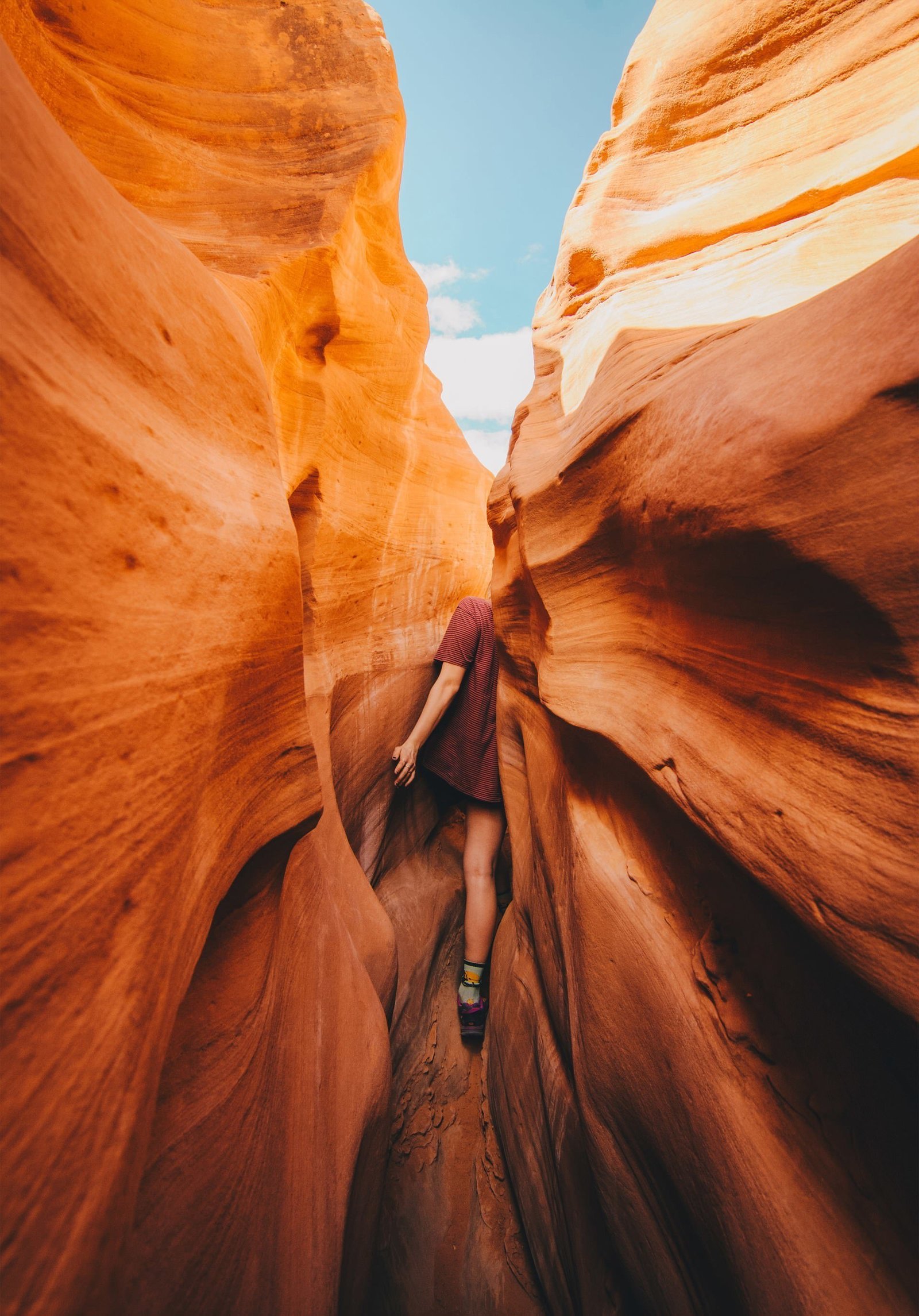 The Nature Conservancy Photo Contest Winners - The photo, Competition, , Longpost