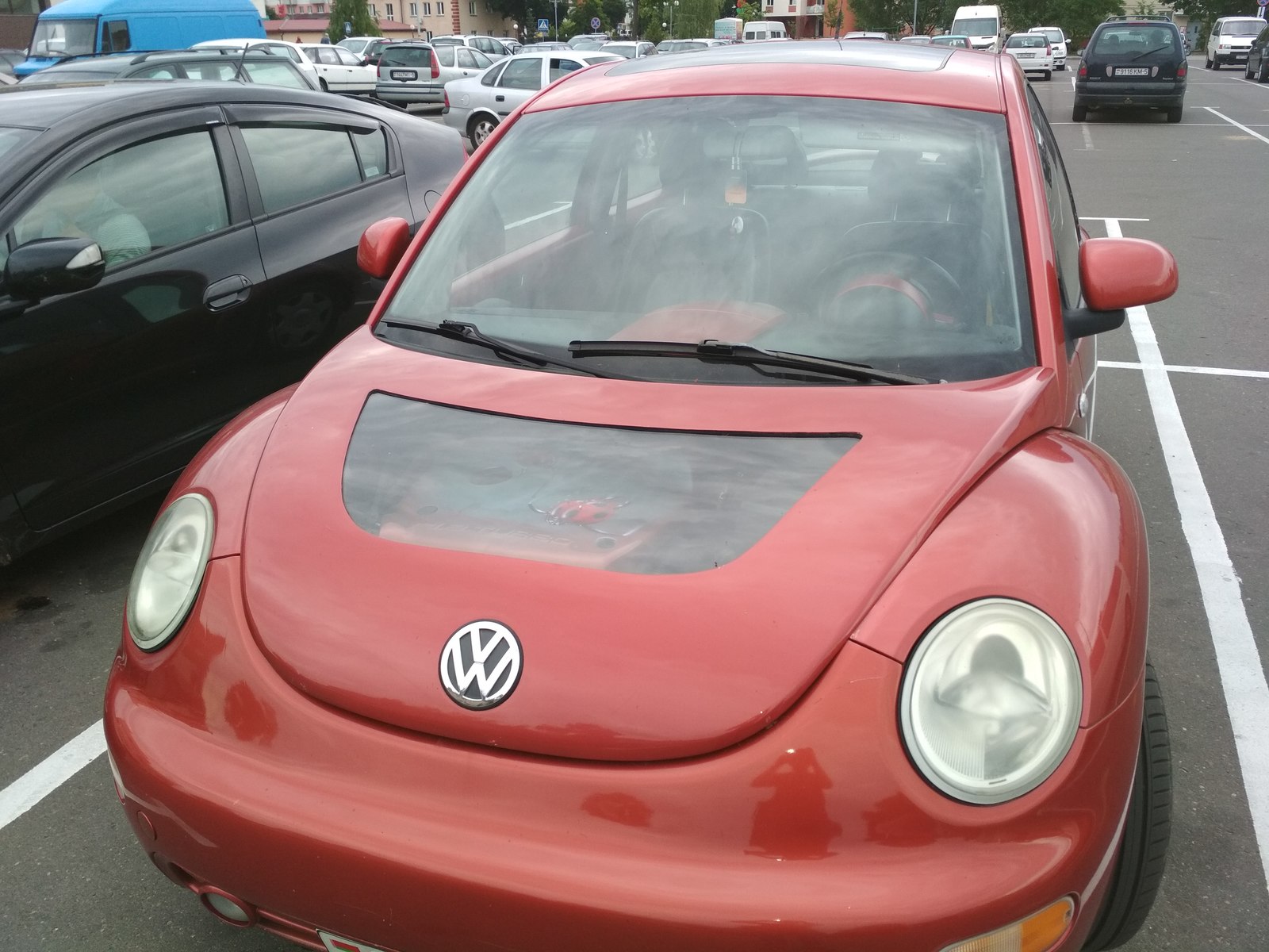 Ladybugs on Mars - My, Mars, Volkswagen Beetle, Airbrushing, ladybug, My, Longpost, Volkswagen beetle