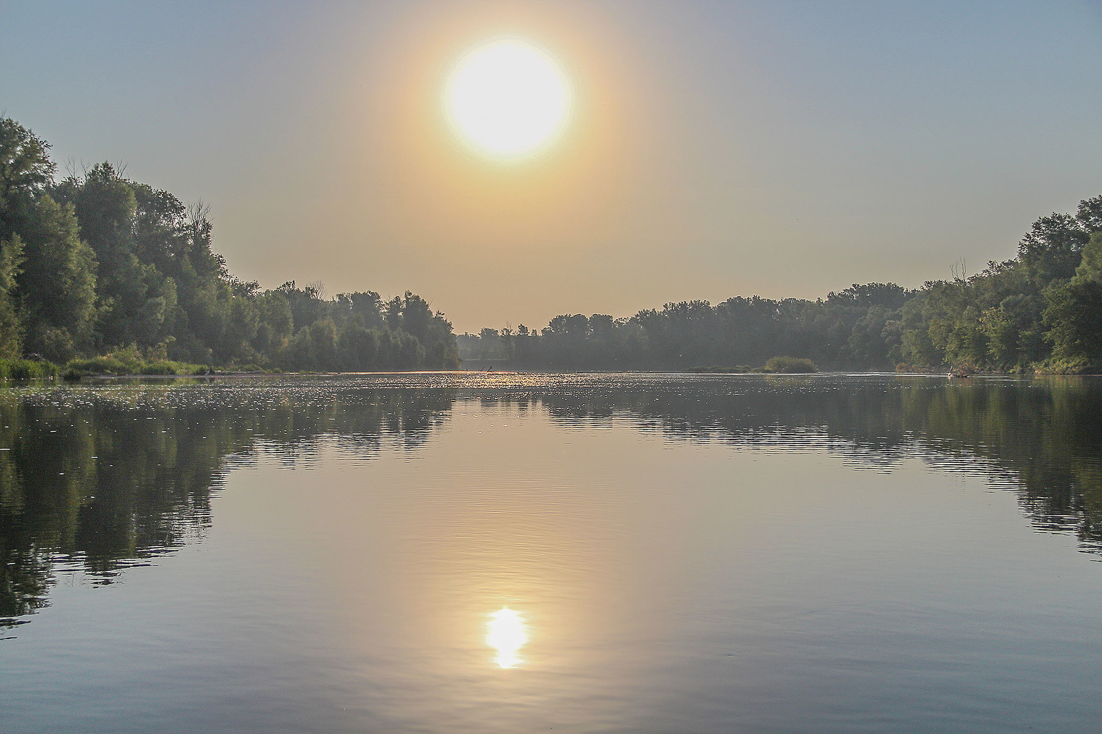 A bit of the Ural River in your feed - My, Ural, River, Alloy, Nature, Animals, Longpost