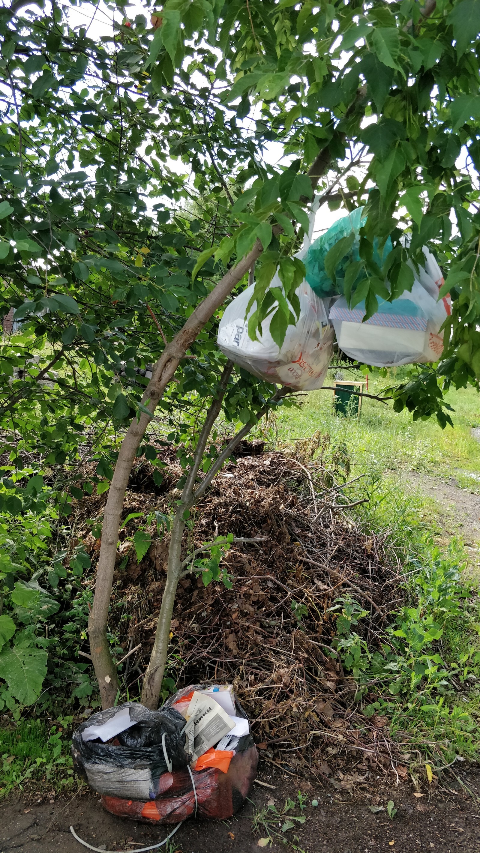 junk tree fruit - Garbage, Cruelty, Longpost