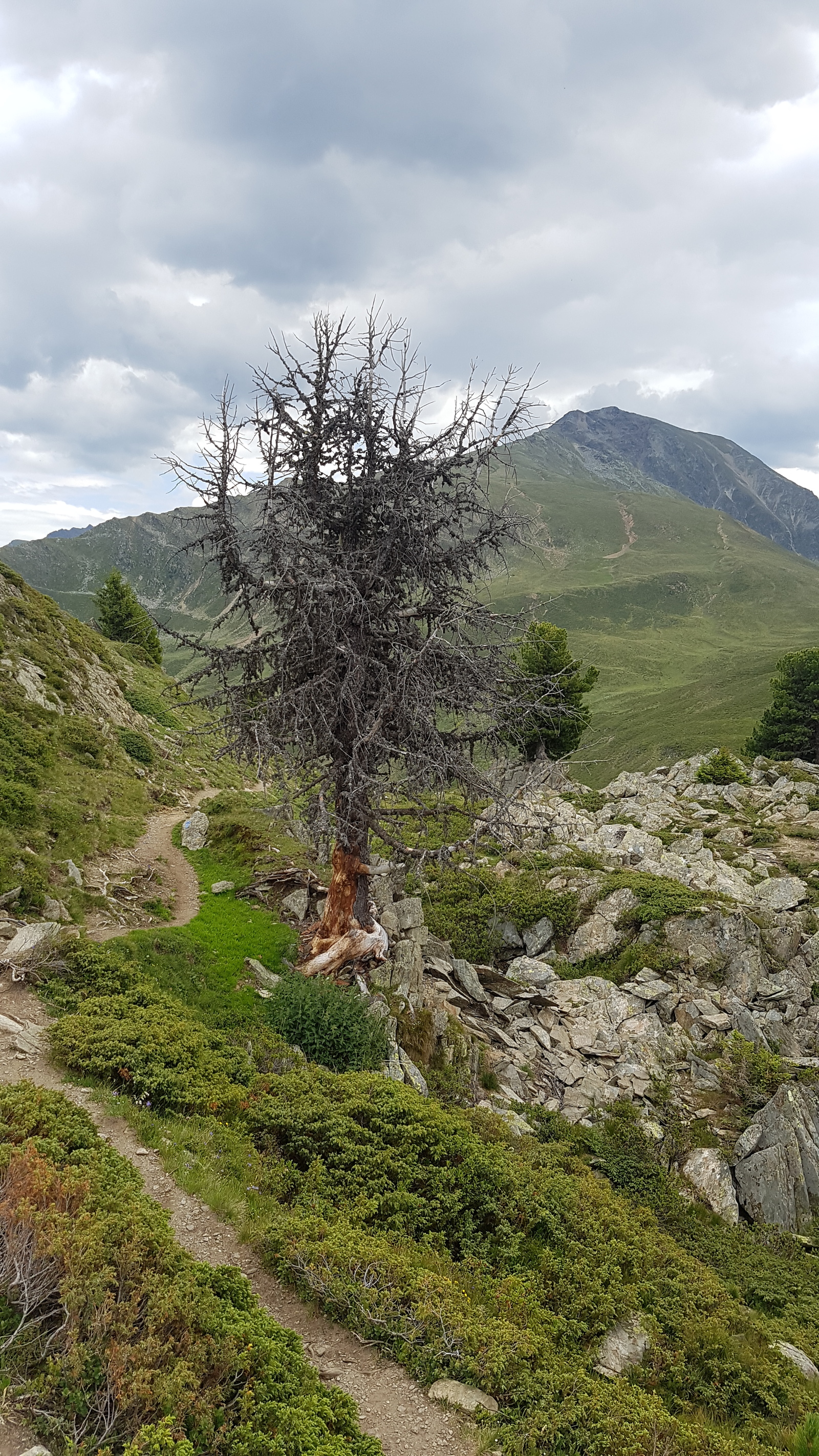 Hiking in the Austrian Alps - My, Hiking, Alps, The mountains, Austria, Travels, The photo, Longpost, Hiking