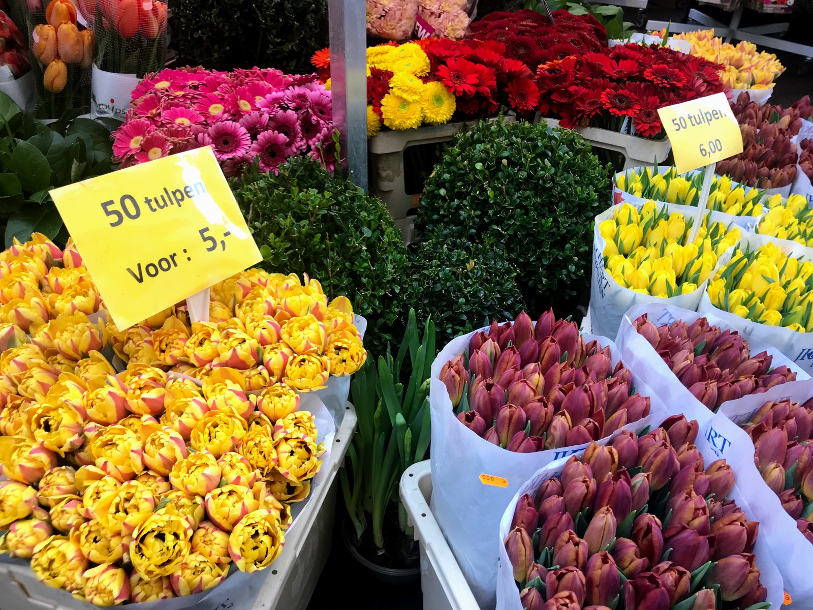 Где купить тюльпаны в москве. Рынок Bloemenmarkt. Рынок тюльпанов в Амстердаме. Цветочный рынок "Bloemenmarkt". Цветочная база Рижский рынок.
