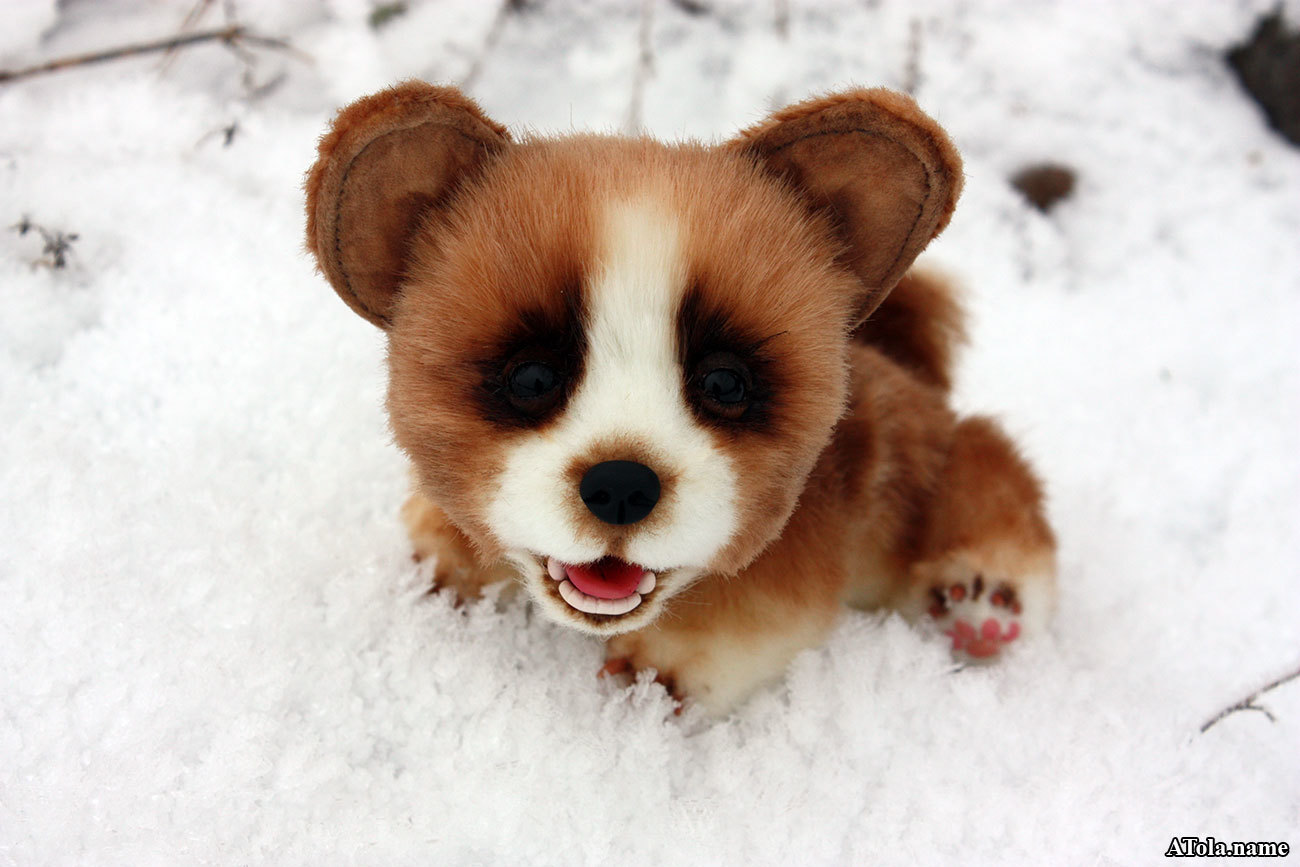 Corgi puppy and winter freshness - My, Corgi, Needlework with process, Author's toy, Toys, Soft toy, , Teddy's friends, Longpost