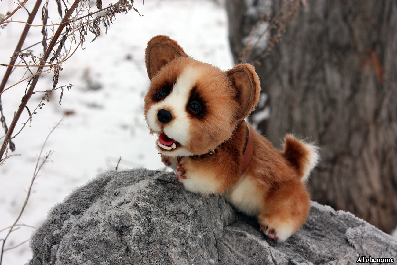 Corgi puppy and winter freshness - My, Corgi, Needlework with process, Author's toy, Toys, Soft toy, , Teddy's friends, Longpost