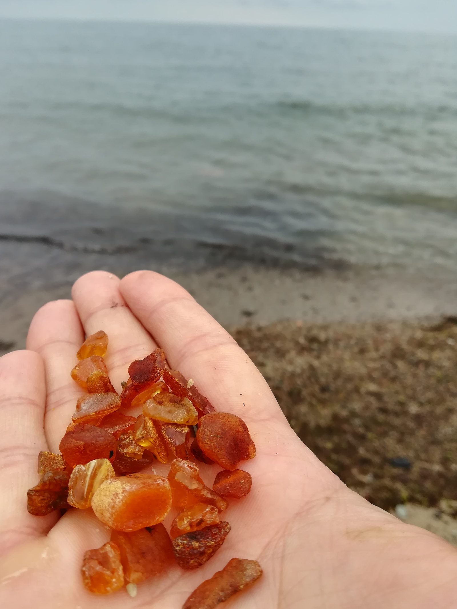 Моя частичка солнца) - Янтарь, Балтийское море, Море, Пляж, Фотография, Длиннопост