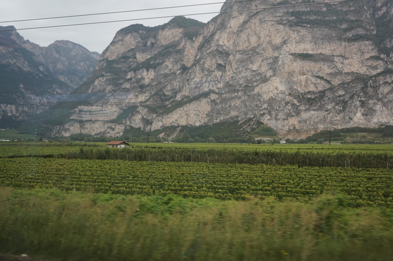 More from intensive agriculture. - My, Apples, Italy, Сельское хозяйство, Longpost