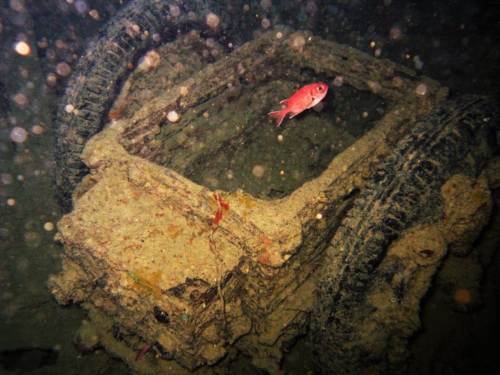 The pearl of the underwater world of the Red Sea - the underwater museum of the Second World War - My, Diving, Red sea, Egypt, Enthusiasm, Vacation, , Sunken ships, Longpost