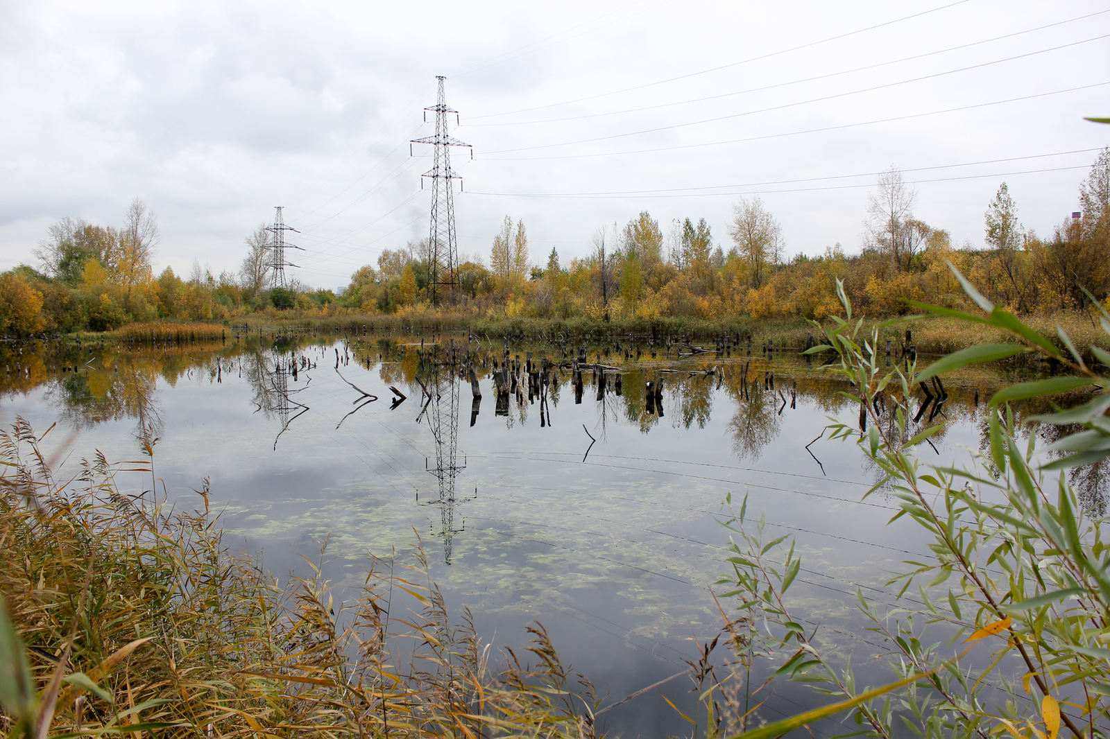 Pair of autumn photos - My, Autumn, Novosibirsk, Smoke, Reflection