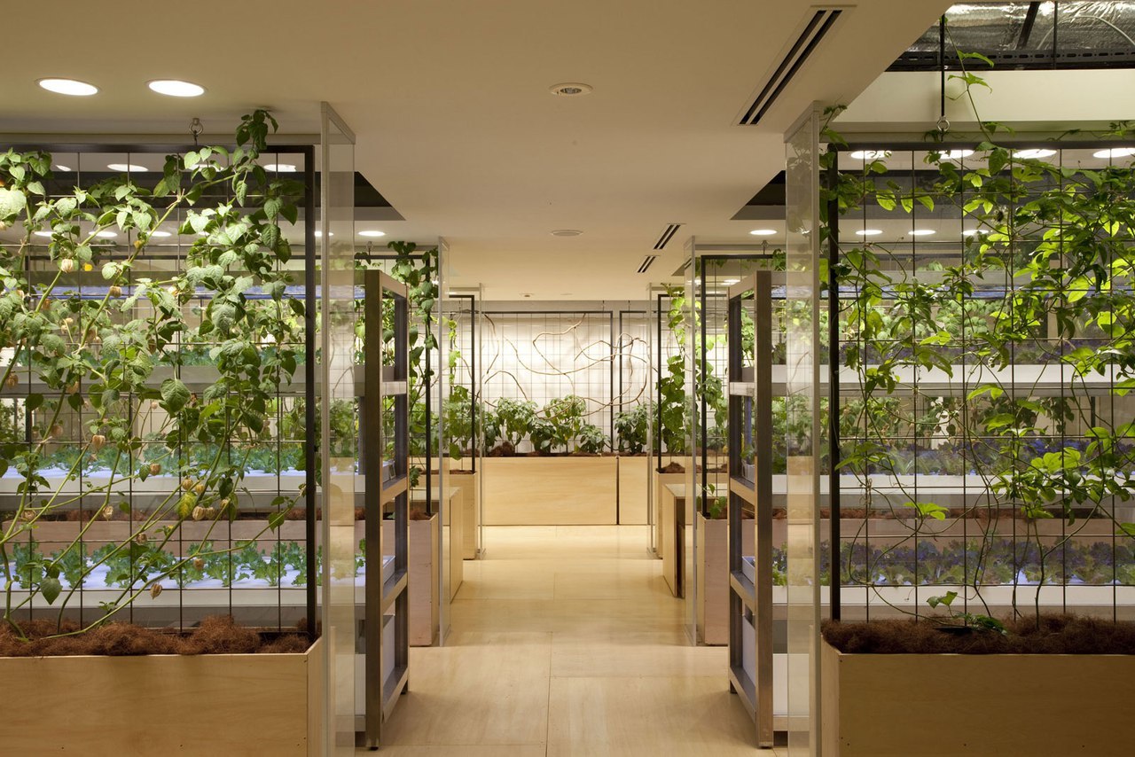 garden office - Ecology, Garden, Ecosphere, Japan, Office, Longpost, Corporations, Landscaping