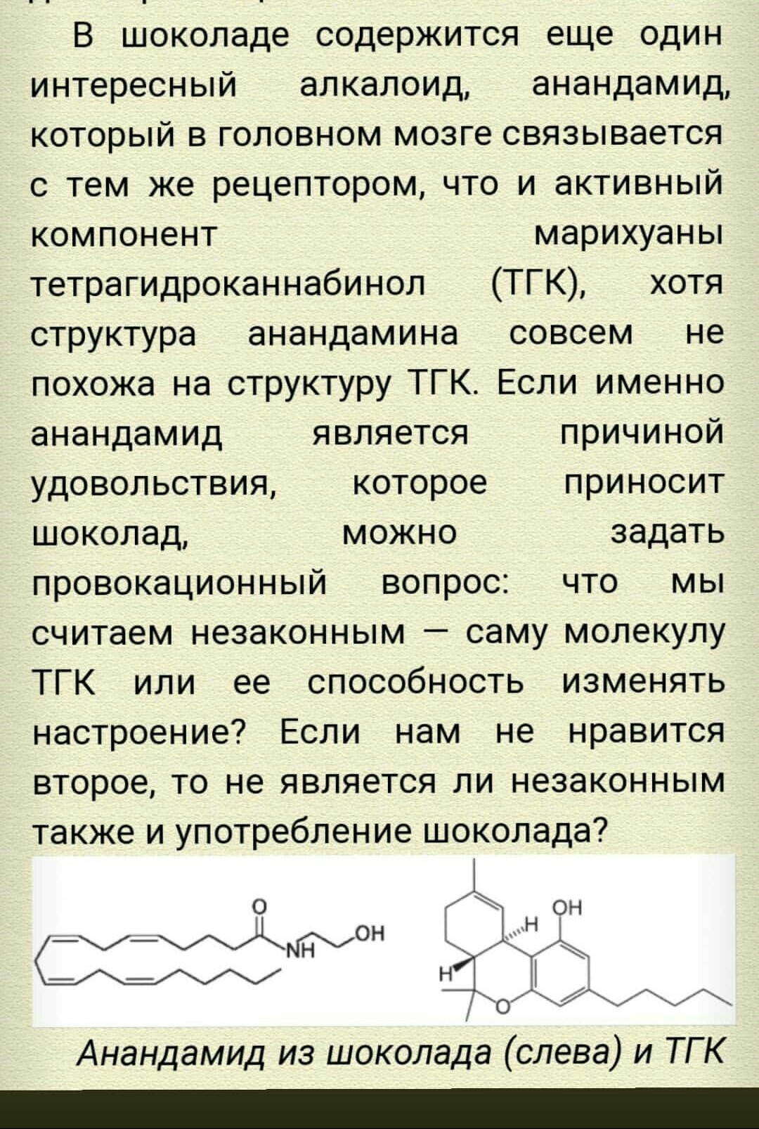 Кушай шоколад, раста. - Интересное, Шоколад, Марихуана