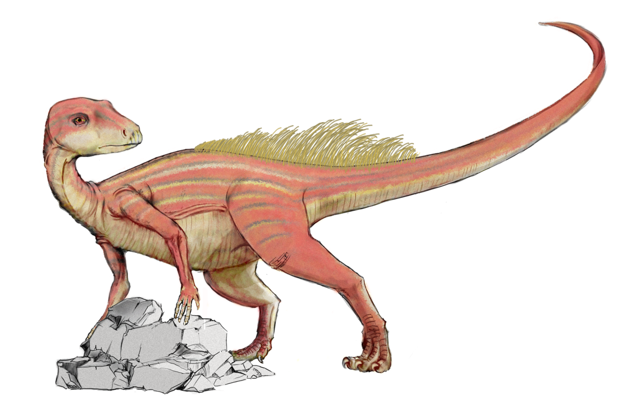 Abriktosaurus - herbivorous dinosaur - Dinosaurs, 