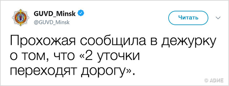 The police of Minsk started a twitter and now they are fighting not only against crime, but also with a bad mood - Minsk, Militia, Twitter, Longpost, Screenshot