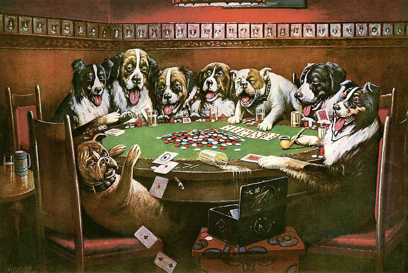 собака играют в карты