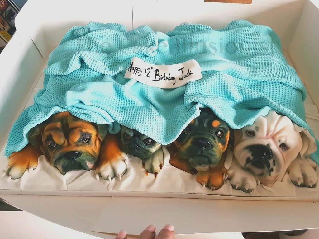 British woman bakes overly realistic animal cakes - Cake, The photo, Video, Animal protection, Dog, Animals, Confectioner, Longpost