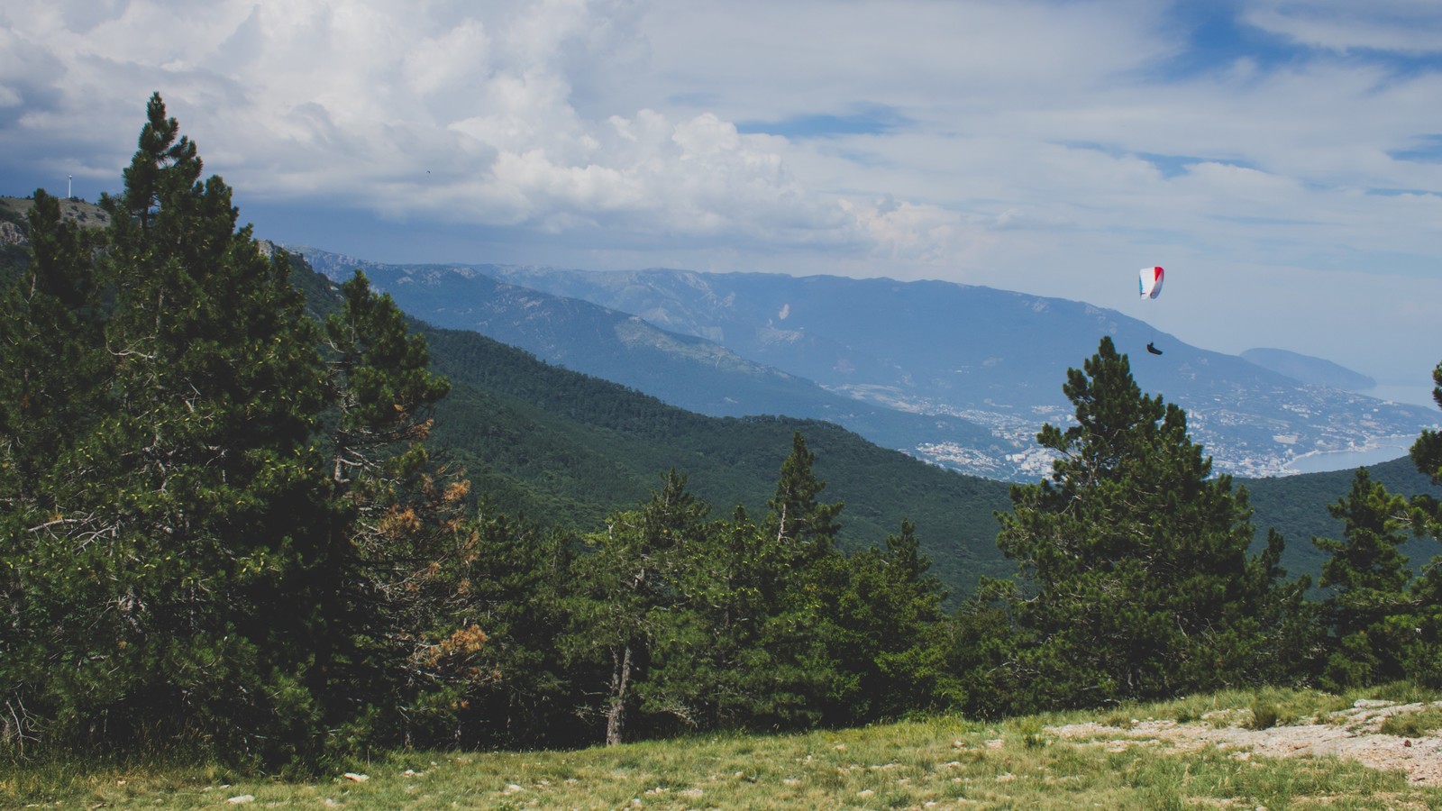 A short and fascinating journey through the Crimean Republic. - My, The photo, Canon, Crimea, Nature, Animals, The mountains, Beginning photographer, Longpost