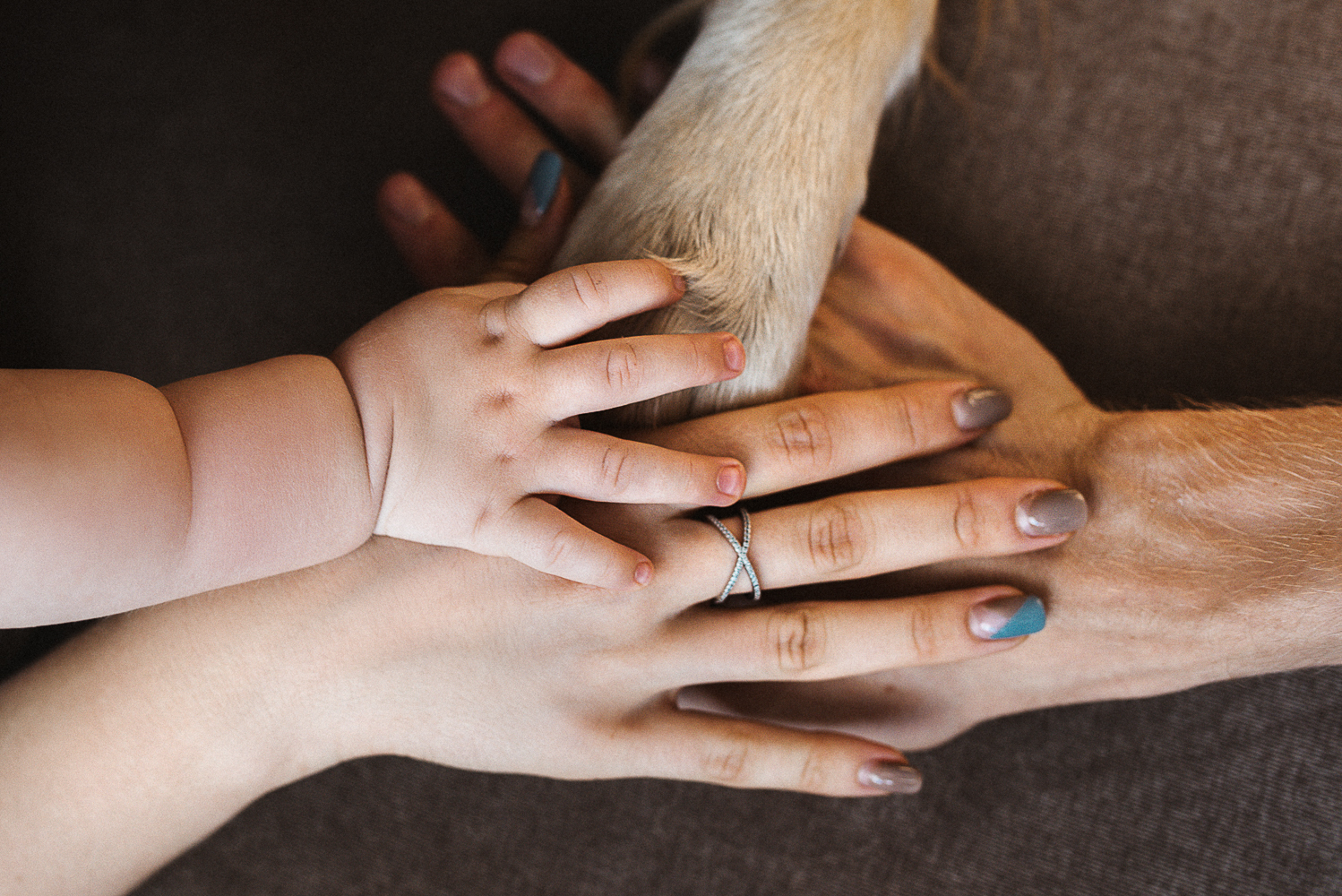 When the house is always warm and cozy. - My, My, The photo, Family photo, Golden retriever, Family, Photographer, PHOTOSESSION, Longpost