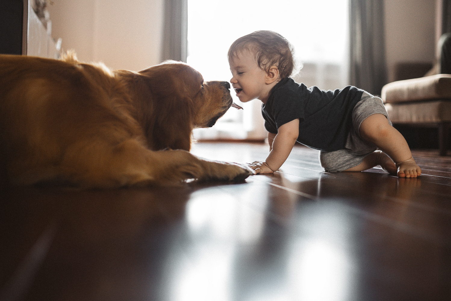 When the house is always warm and cozy. - My, My, The photo, Family photo, Golden retriever, Family, Photographer, PHOTOSESSION, Longpost