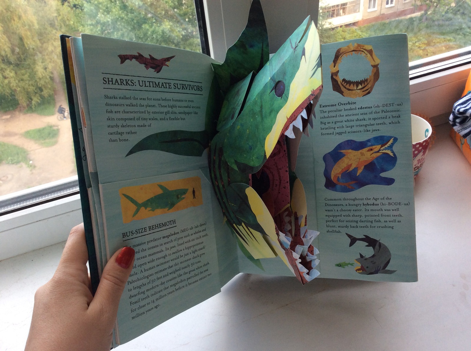 Pop up books. Written by Robert Sabuda - My, , , , Longpost