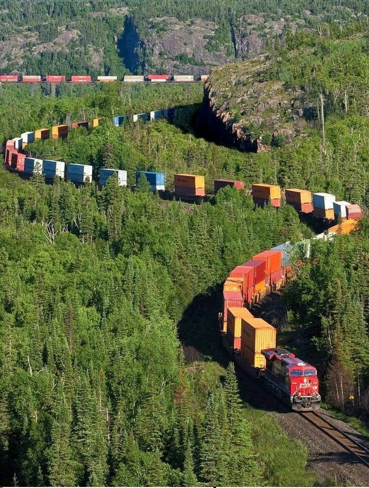 Caterpillar - A train, Forest, Multicolor