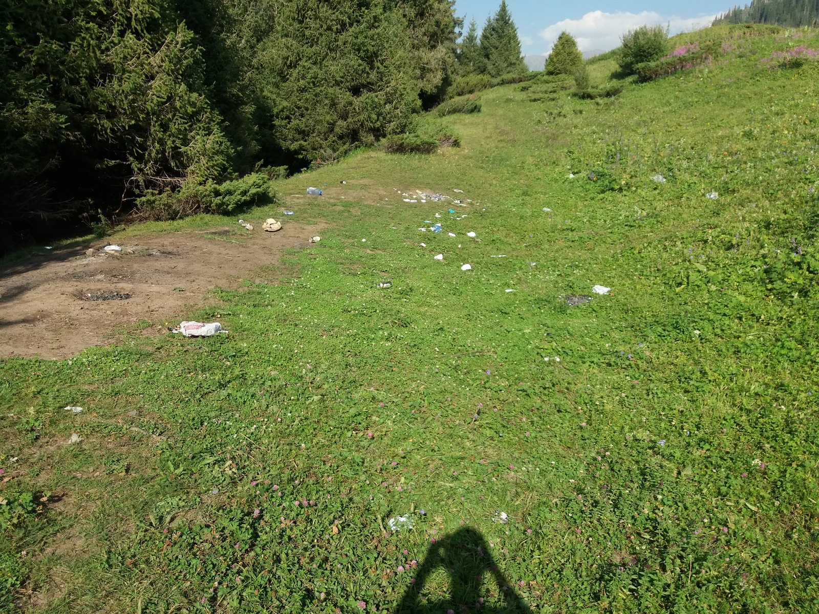 Chistomeny from Almaty - My, Garbage, Leisure, Chistoman, Kok-Zhailau, Almaty, Kazakhstan, Nature, Longpost