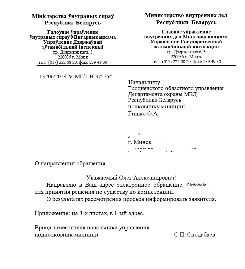 Lightning protection. - My, Minsk, Traffic police, Parking, Lack of a brain, Euroopt, Longpost, Stupidity