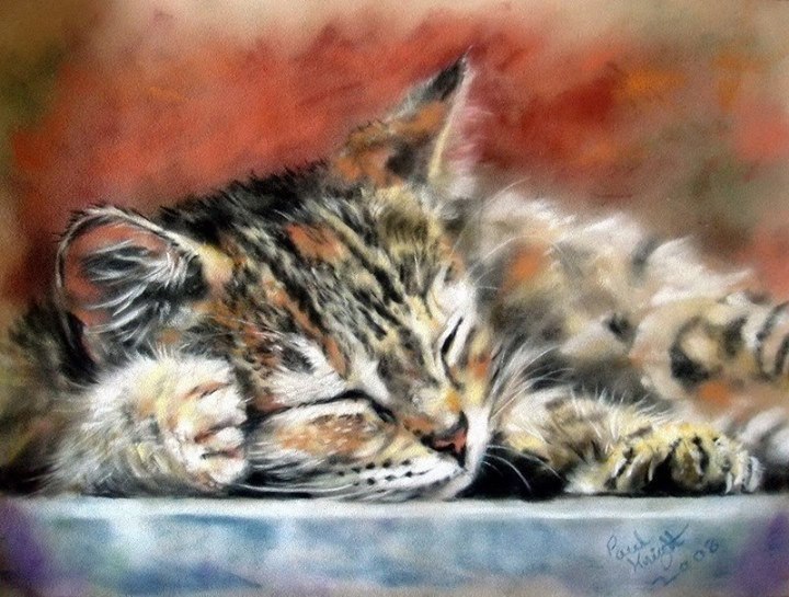 Adorable cats by English artist Paul Knight - cat, Painting, Fluffy, Milota, Longpost