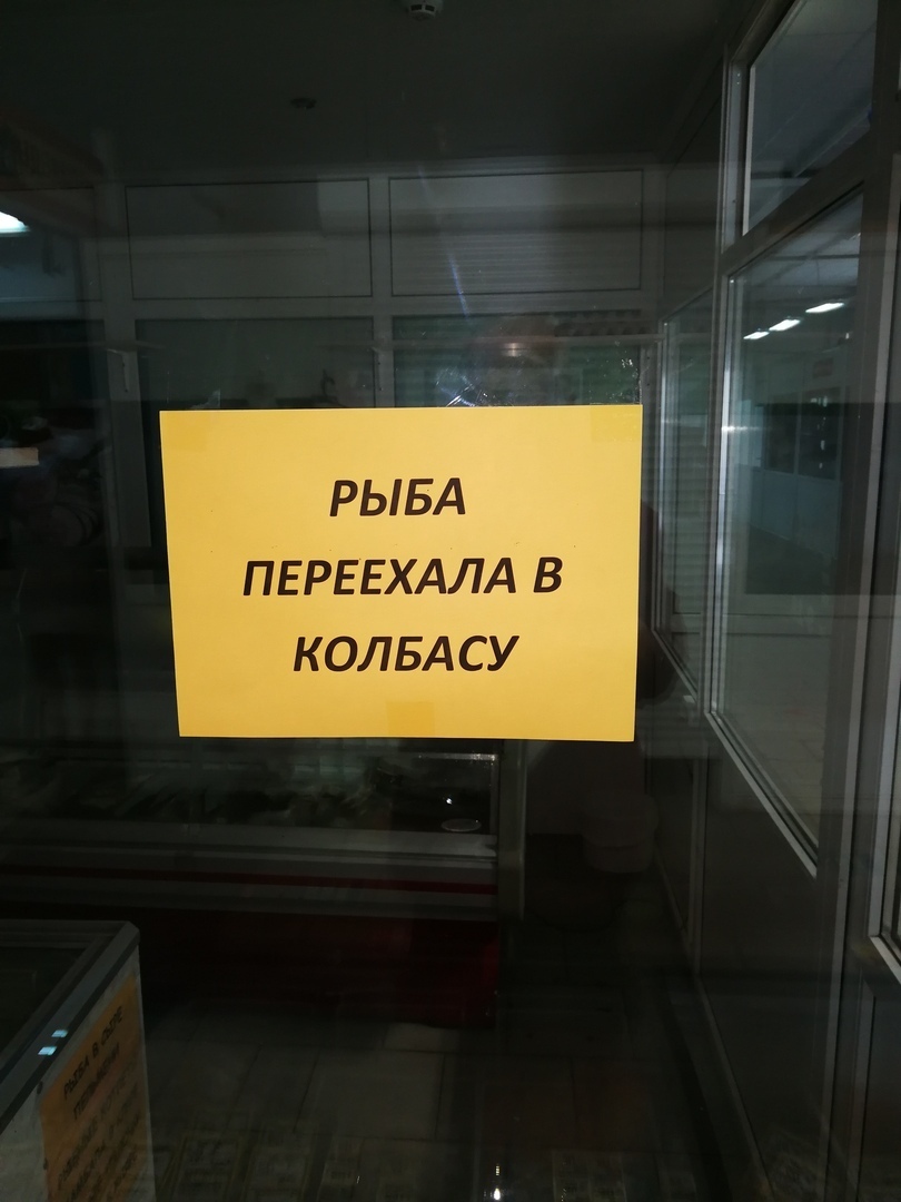 You return from fishing and to the question: Where is the fish?, You answer: - Fishing, Humor, Whiteriverufa