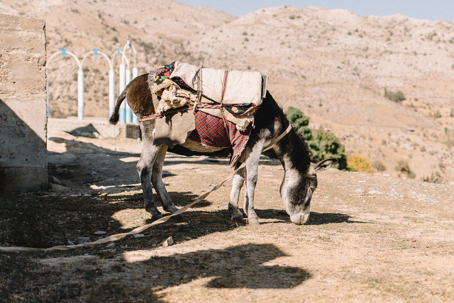 Trip to Uzbekistan. Part 6 - My, My, Travels, The photo, Uzbekistan, Nature, Architecture, Photographer, Longpost