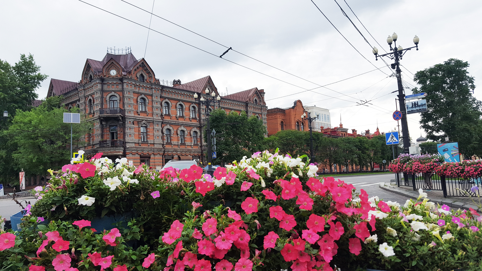 How to put on the eyes of a guest - My, Khabarovsk, Khabarovsk region, , , , Muravyov-Amursky, Longpost