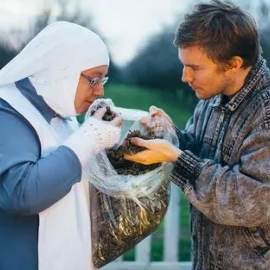 A marijuana plantation is like God's plan. - Sister, Marijuana, Grass, Grass, Medical Cannabis, Longpost, Sisters