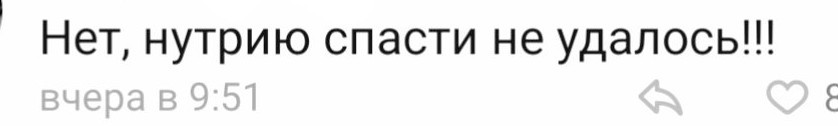 Драматизьм - Типичный, Воронеж, Драма, Т9, Длиннопост