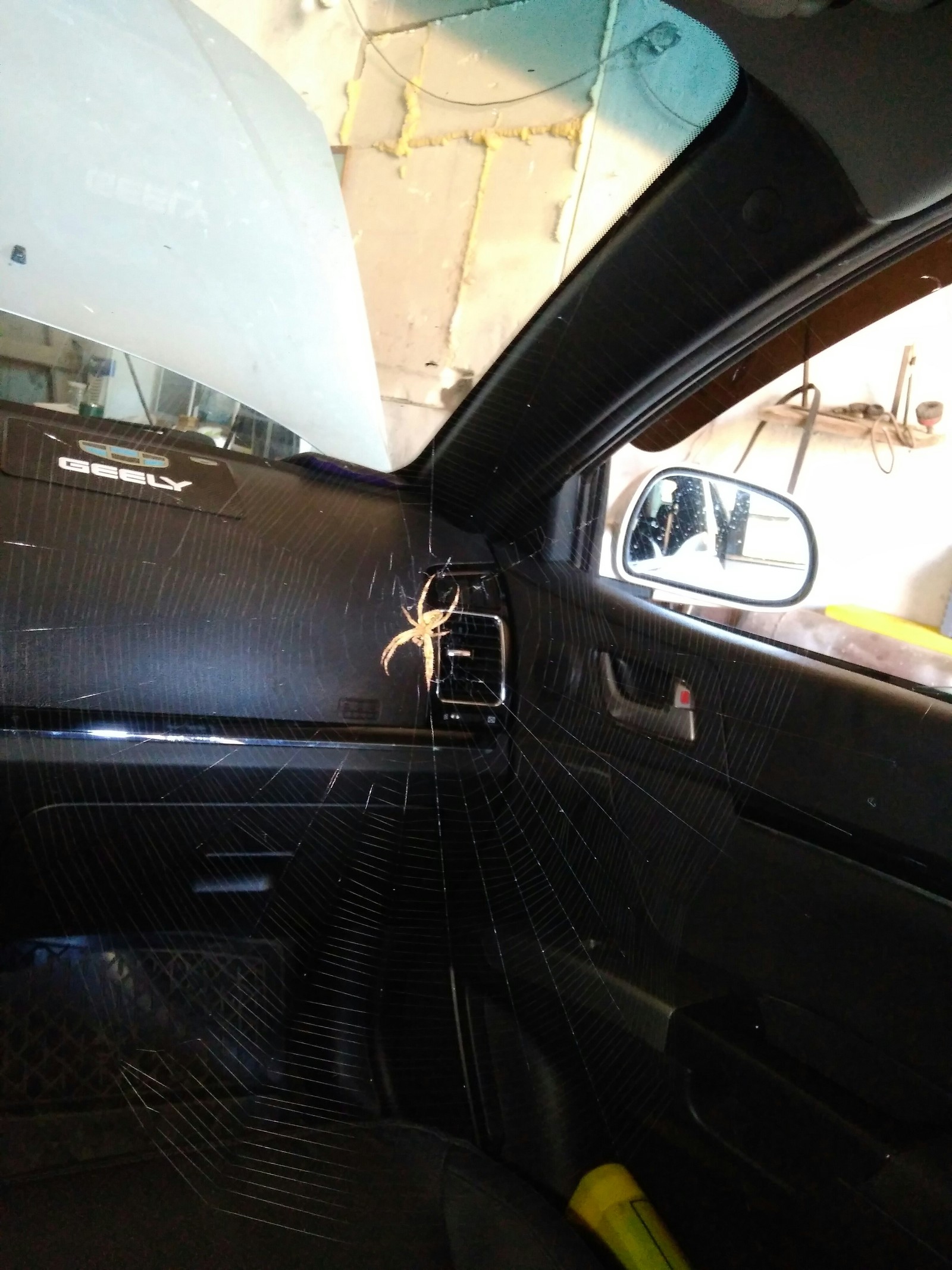 Place taken - My, Car service, Spider, Speed, Unexpected, Longpost