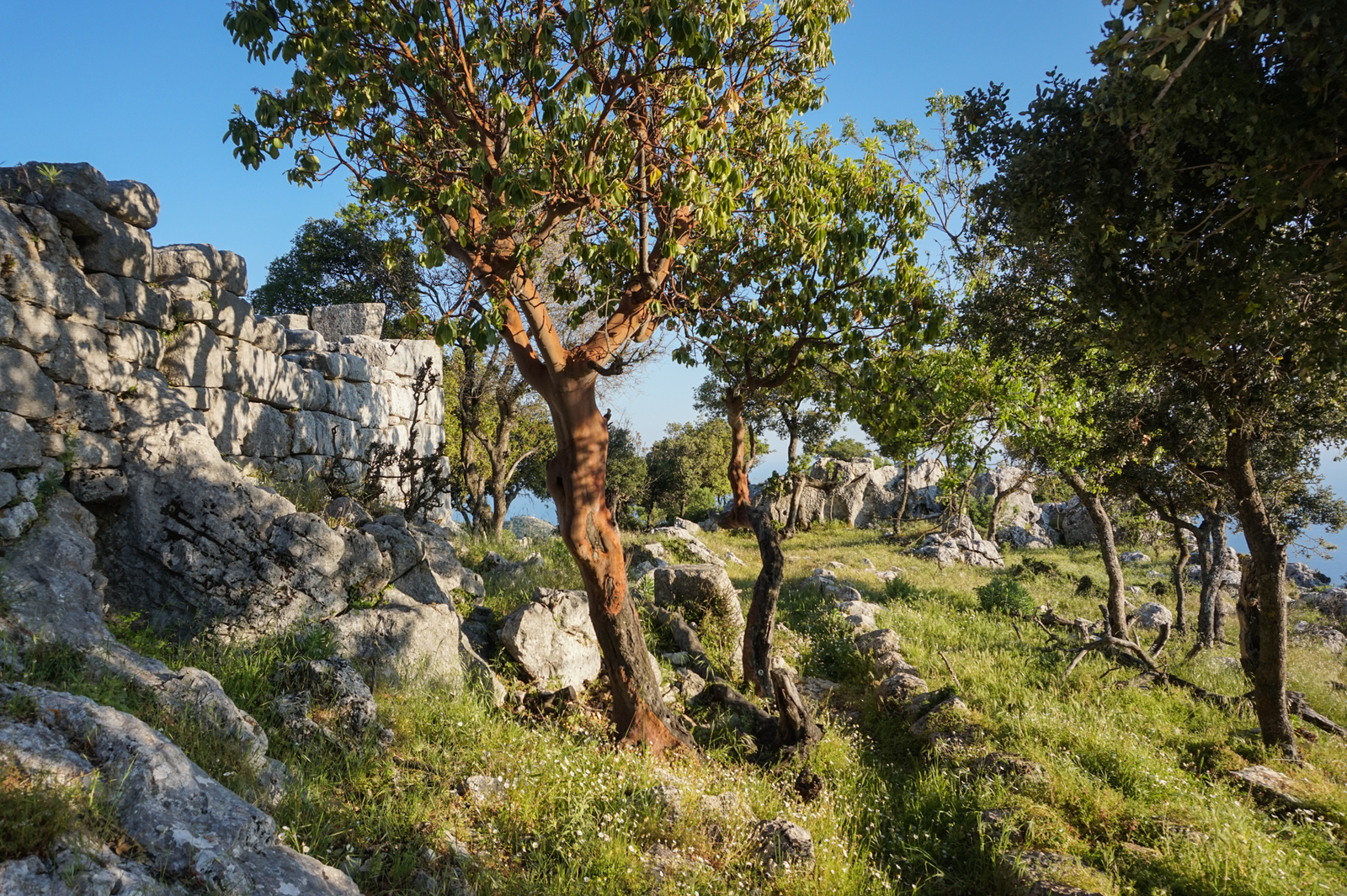 Lycian trail. - My, Turkey, Lycian Trail, Hike, The mountains, Landscape, Sea, Tent, Ruin, Longpost