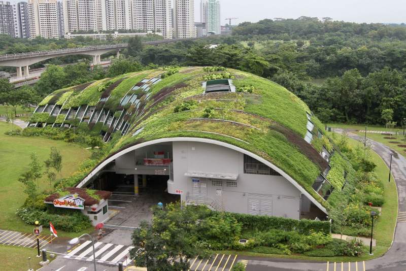 Interesting. - Building, Abandoned, Ecology