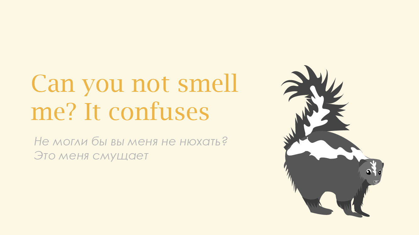 Что говорить на границе в щекотливой ситуации - Моё, Таможня, Юмор, Английский язык, Граница, Иллюстрации, Длиннопост, Пособие