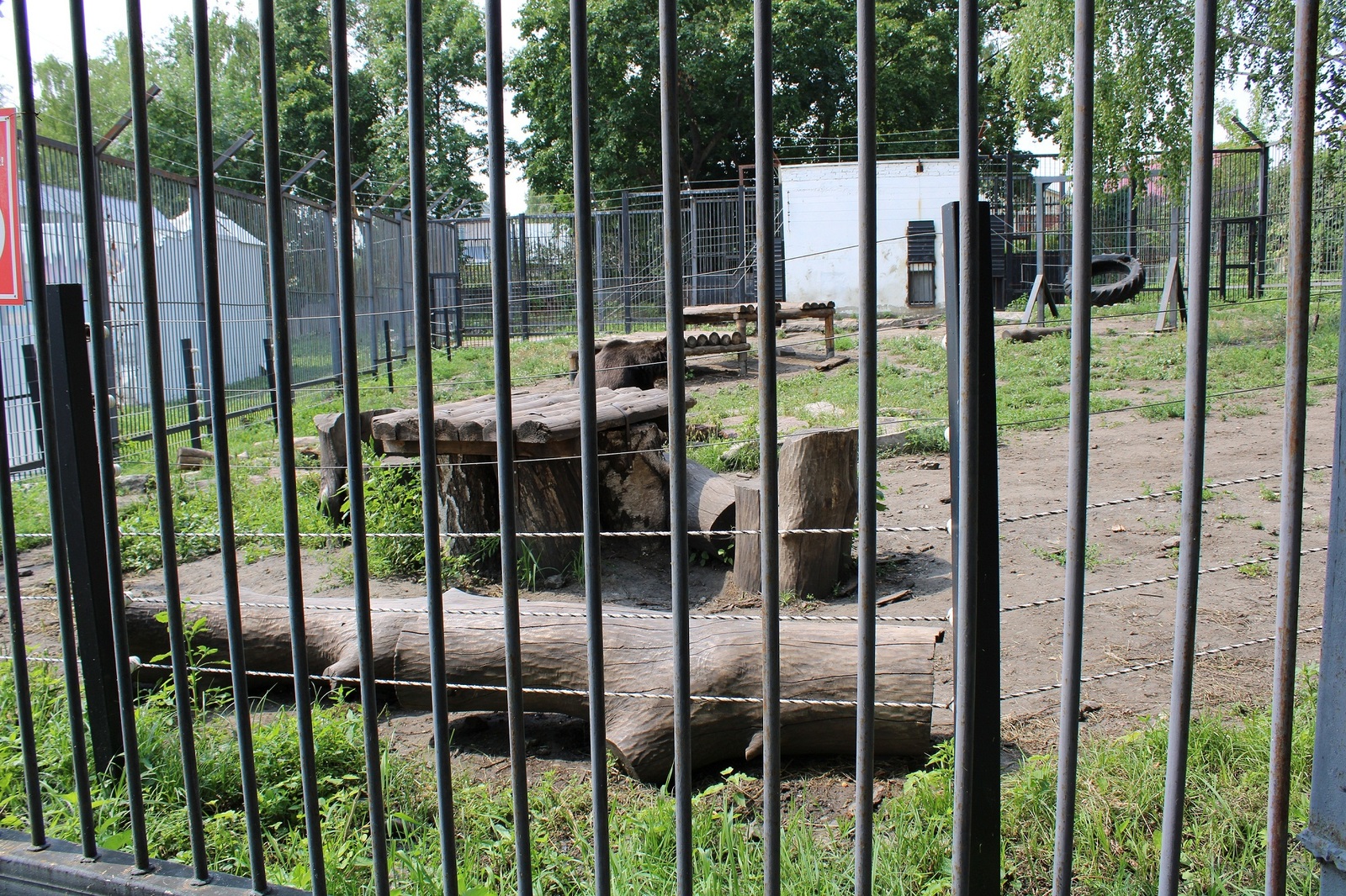 Penza Zoo - the general condition of the enclosures. - My, Penza Zoo, Aviary, , Longpost